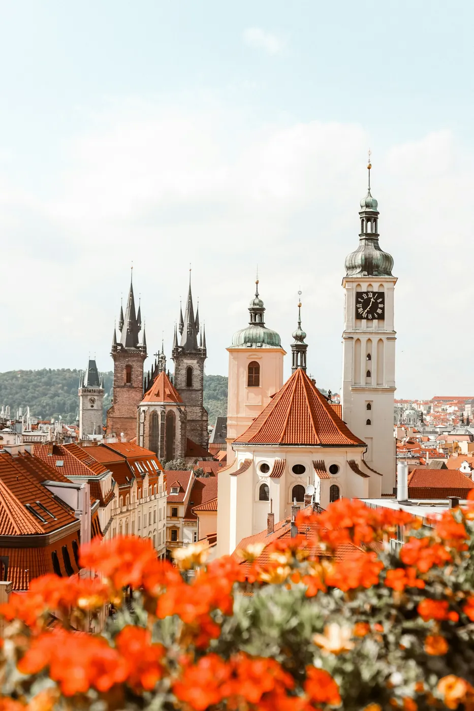 Türme der Prager Altstadt mit Teynkirche und Rathausturm, im Vordergrund rote Geranien