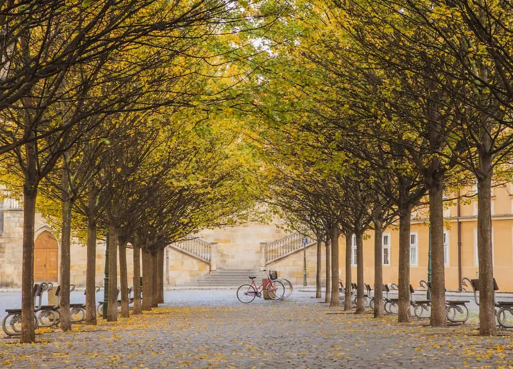 Kampa-Insel in Prag