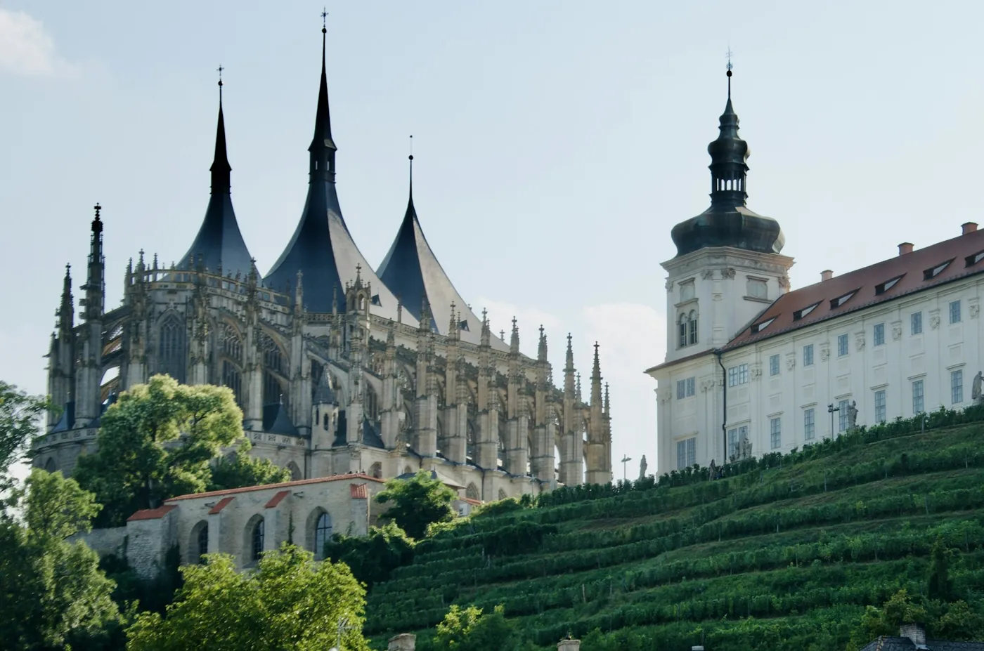 Kathedrale St. Barbara und Jesuitenkolleg in Kutná Hora über einem Weinberg